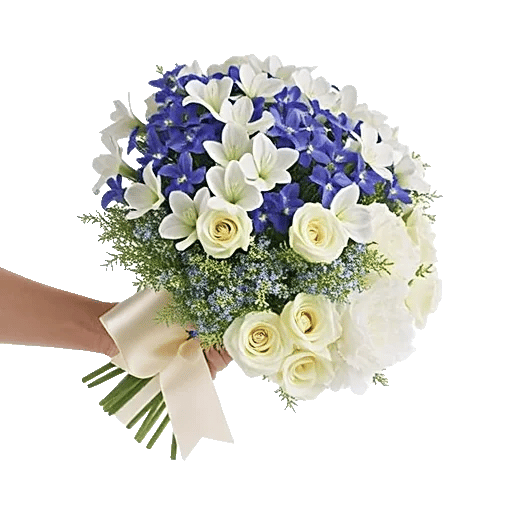 Ivory Blossom Radiance