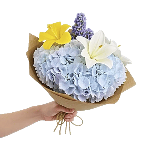 Serene Petal Harmony