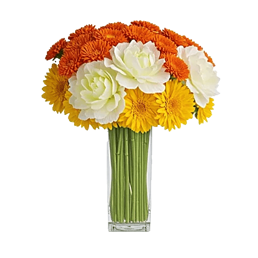 Petal Radiance Bliss