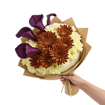 Elegant Calla Lilies