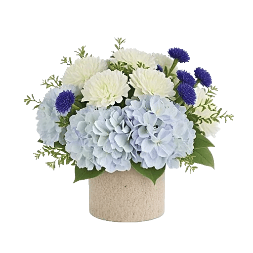 Serene Garden Harmony