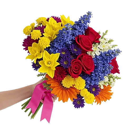 Blossom Harmony Display