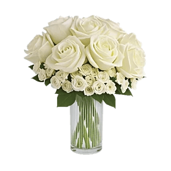 Ivory Blossom Radiance