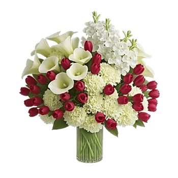Elegant Calla Lilies