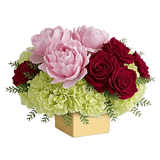 Petal Radiance Bliss