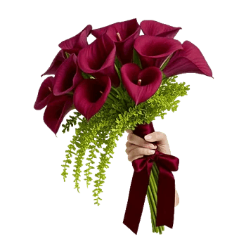 Elegant Calla Lilies