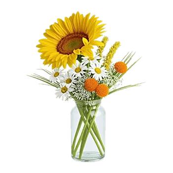 Radiant Bloom Cascade