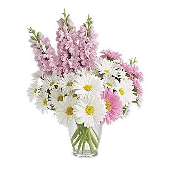 Petal Radiance Bliss