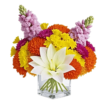 Petal Radiance Bliss