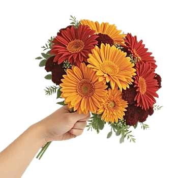 Crimson Blossom Harmony