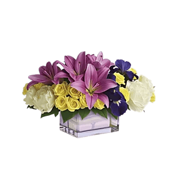 Graceful Lily Display