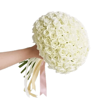 Delicate Petal Cascade