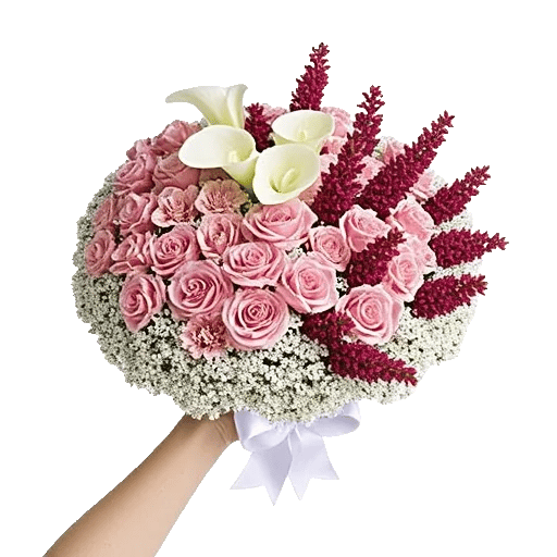 Elegant Calla Lilies