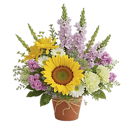 Amber Sunflower Glow