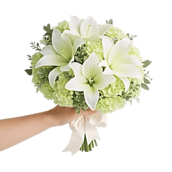 Ivory Blossom Radiance