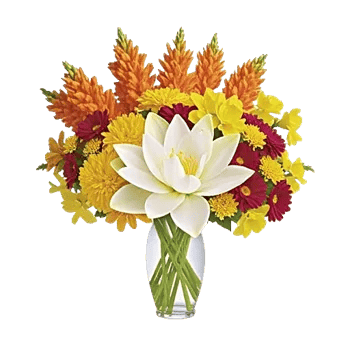 Ivory Blossom Radiance