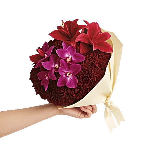Orchid Petal Glow