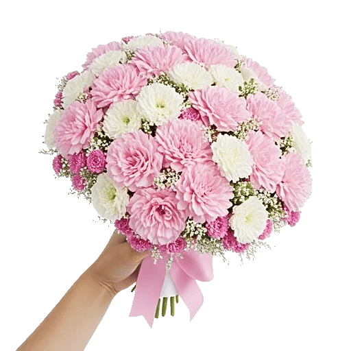 Pastel Pink Roses