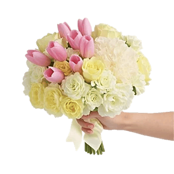 Peony Petal Harmony