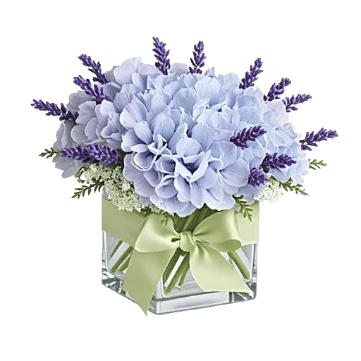 Sapphire Bloom Whisper