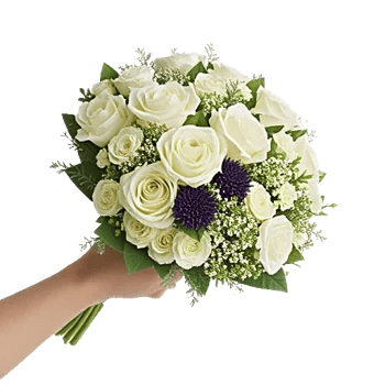 Delicate Petal Cascade