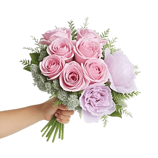 Pastel Pink Roses