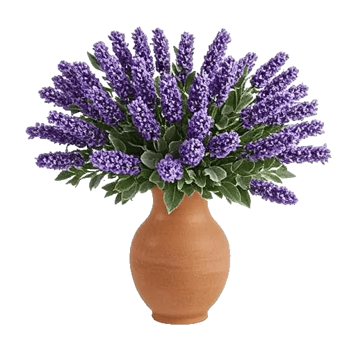 Lavender Bloom Grace