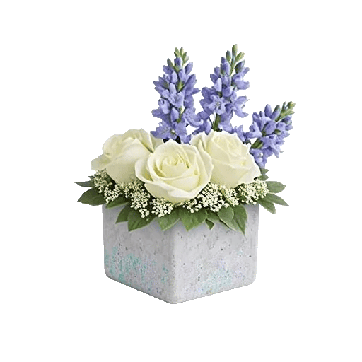 Serenity Blossom Grace