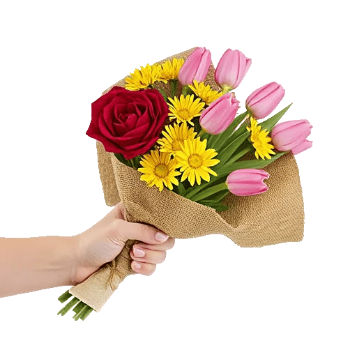 Crimson Rose Elegance