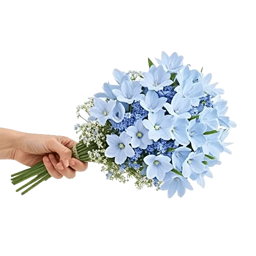 Serenity Blossom Grace