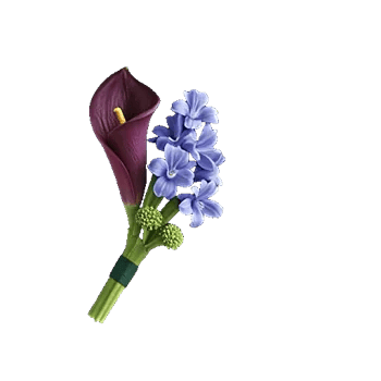 Elegant Calla Lilies