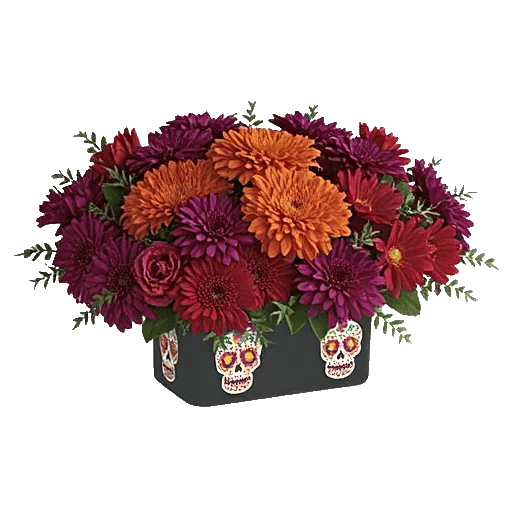 Vibrant Orange Delight