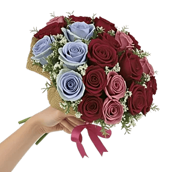 Elegant Blue Roses