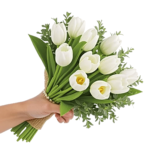 Blossom Harmony Display