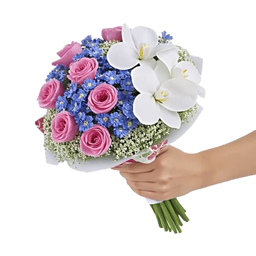 Blossom Petal Serenity