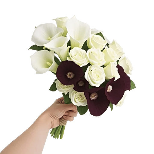 Elegant Calla Lilies
