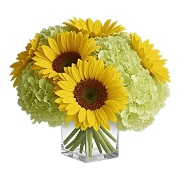 Radiant Bloom Cascade