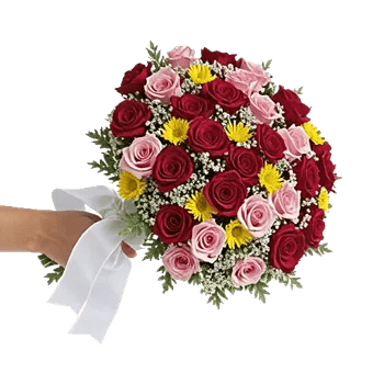 Blushing Rose Symphony