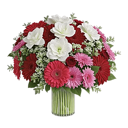 Petal Radiance Bliss