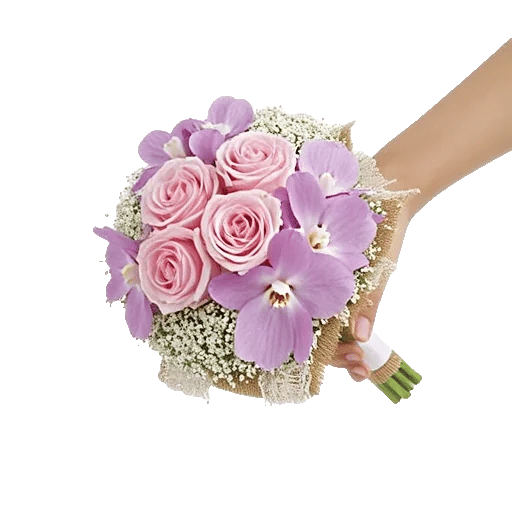 Pastel Pink Roses