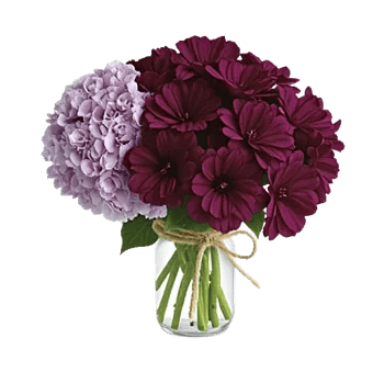 Lavender Bloom Grace