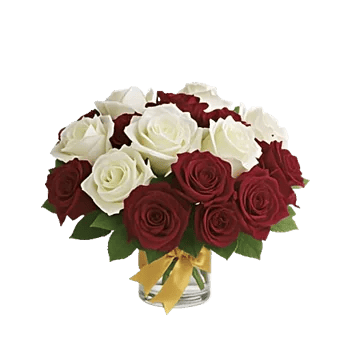 Crimson Rose Elegance