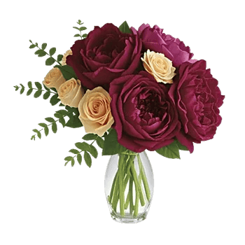 Petal Radiance Bliss