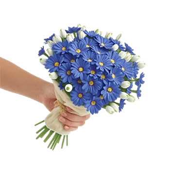 Blossom Petal Serenity