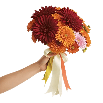 Crimson Blossom Harmony