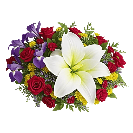 Ivory Blossom Radiance