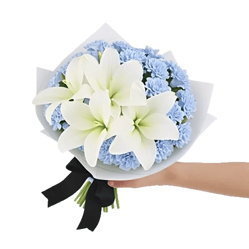 Serene Petal Harmony