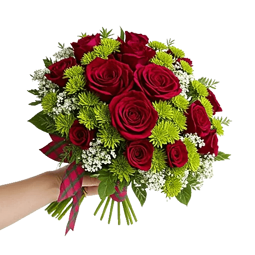 Crimson Rose Elegance