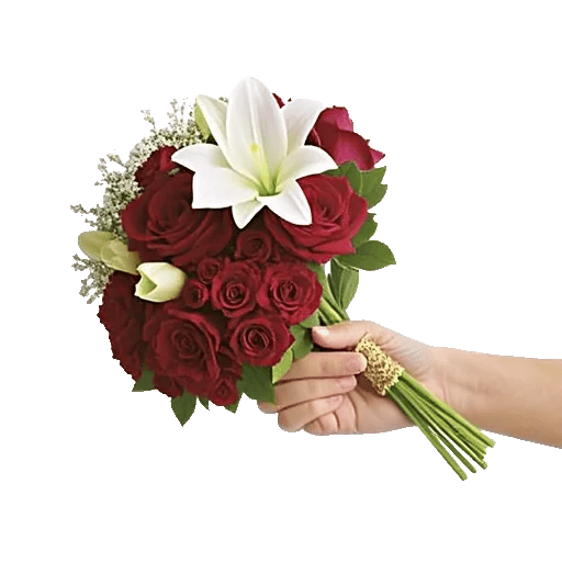 Blossom Radiant Whisper
