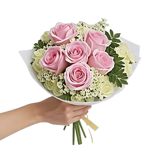 Blushing Rose Symphony